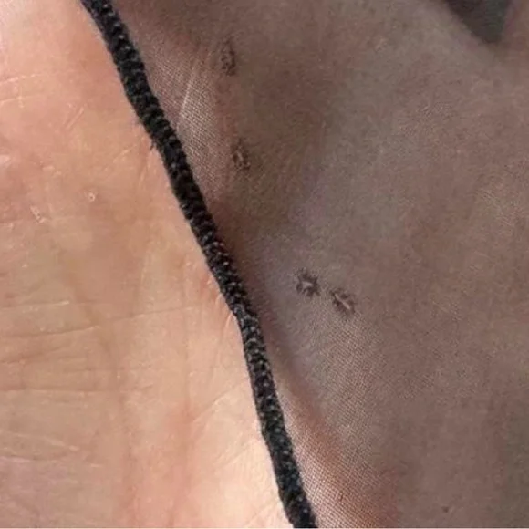 Valentino Intimo Slip - Picture 8 of 8